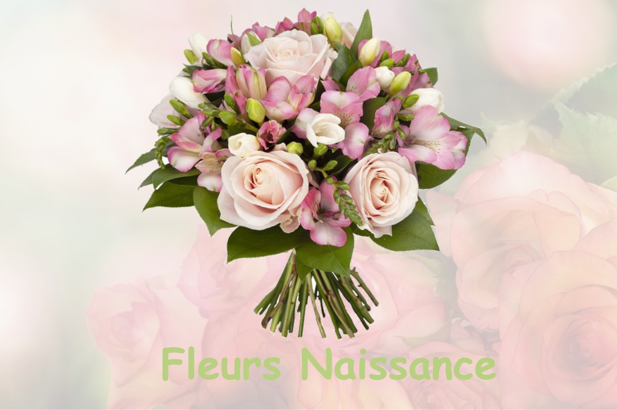 fleurs naissance LA-CHAUMUSSE