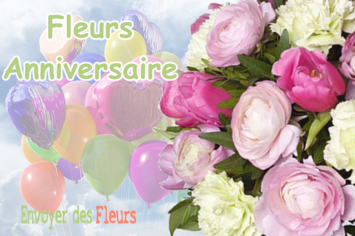 lIVRAISON FLEURS ANNIVERSAIRE à LA-CHAUMUSSE