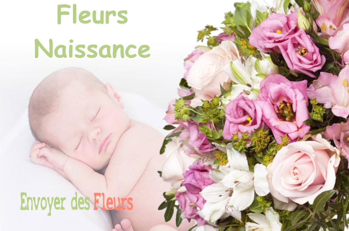 lIVRAISON FLEURS NAISSANCE à LA-CHAUMUSSE